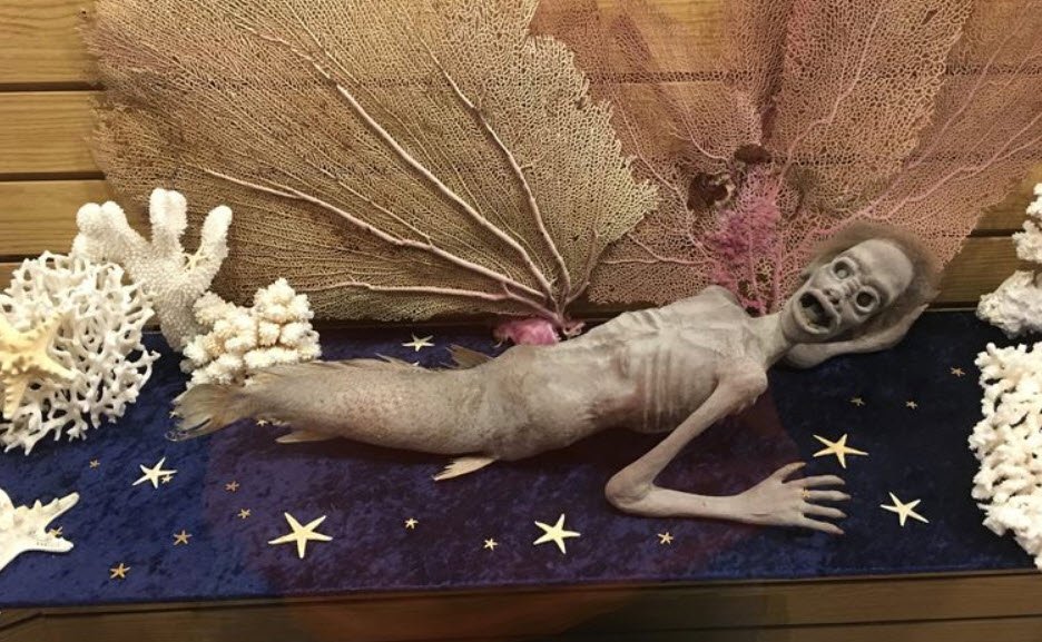 Discoversea Shipwreck Museum, Delaware, USA